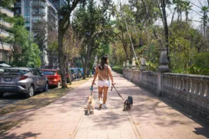 Paseo con correa