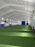 Pista